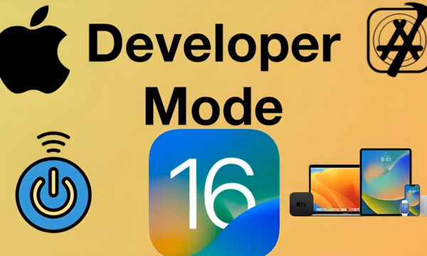 How to enable Developer Mode on iPhone IOS and +