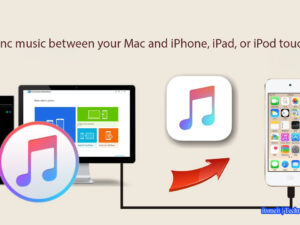 Transfer music from computer to iphone with iTunes | 3uTools